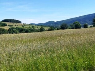 Działka rolno-budowlana Kobielnik