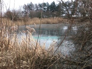 Działka rolno-budowlana Kotowice