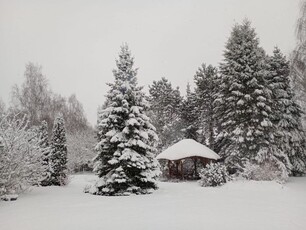 Sprzedam działkę w Otominie