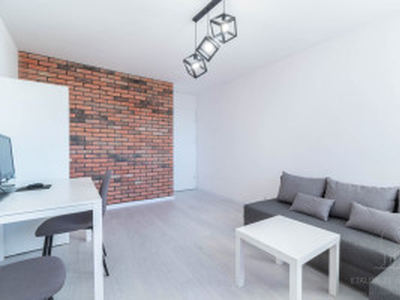 Mieszkanie na sprzedaż, 48 m², Poznań Nowe Miasto