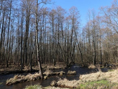 Działka budowlana Potasznia