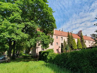 Zabrze, Centrum, Panieńskie Skały