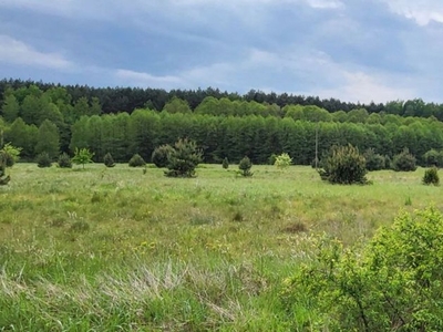 Działka budowlana Rokitno Szlacheckie