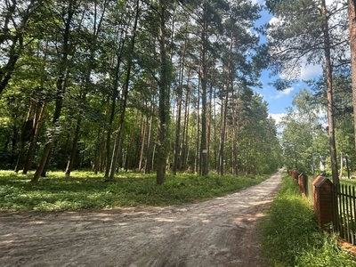 Działka budowlana Rosanów, ul. Małgorzaty