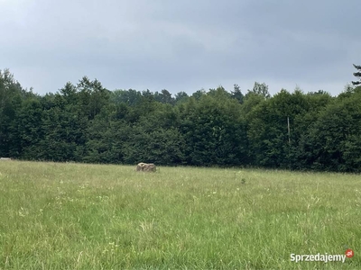 Działka budowlana w malowniczej wsi