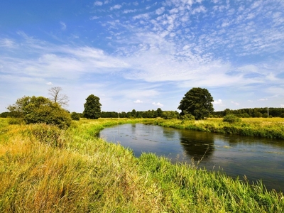 Działka inna Morgowniki