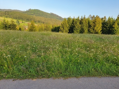 Działka w Soblówce budowlana 1668 m2 Beskid Żywiecki