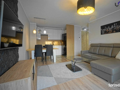 Mieszkanie na wynajem Katowice 40m2 2 pokoje