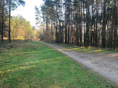 Działki z prywatnym lasem i dostępem do rzeki pow. całkowita 2787m2