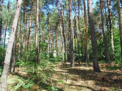 Działka budowlana Konstancin-Jeziorna, ul. Długa