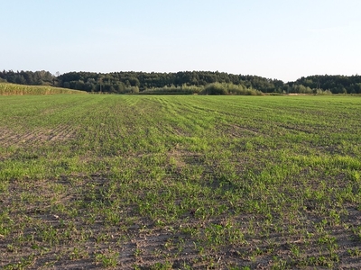 Działka rolna Dłużniewo