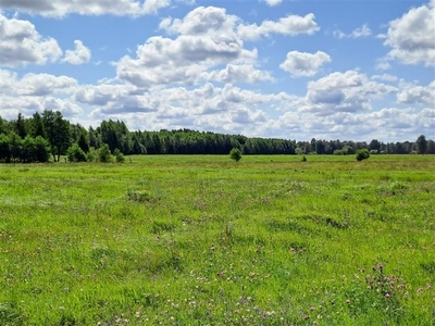 Działka rolna 2,17 ha Słuszewo gm. Gniewino