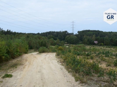 Działki na Kaszubach na sprzedaż blisko jeziora