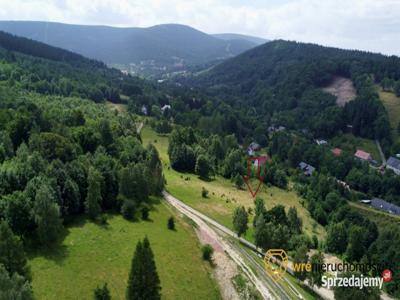 Działka 9929m Świeradów-Zdrój