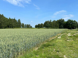 Poznański (pow.), Swarzędz (gm.), Gortatowo