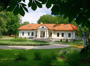 Radomszczański, Wielgomłyny