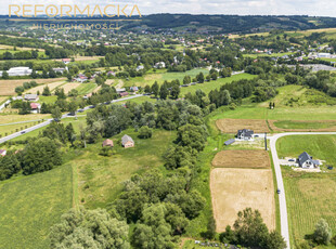 Rzeszowski, Błażowa, Nowy Borek