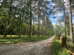 Zgierski (pow.), Zgierz (gm.), Rosanów, Małgorzaty