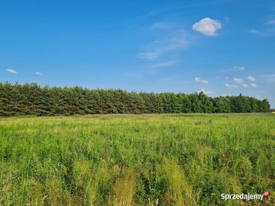 1173 m2, Stefanów Ruszkowski gmina Brzeźnio