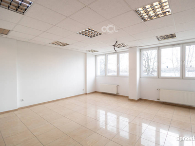 185 m2 – biura, lokal usługowy w Opolu