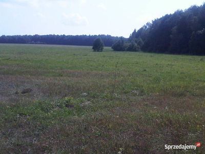 90 ha lub mniejsze działki Lubelskie