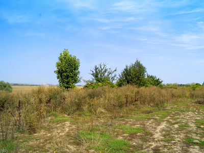 Atrakcyjna działka inwestycyjna - Kamieniec