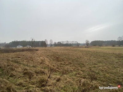 Atrakcyjne działki budowlane w Białym Borze