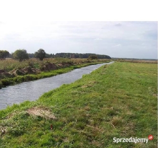 Działka 1700 m. z linią brzegową. gmina Skórzec, Ozorów