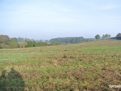 Działka 29092m2 Sobków