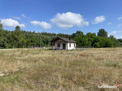 Działka budowlana 700m2 Pohulanka Białobrzegi 70km Warszawa