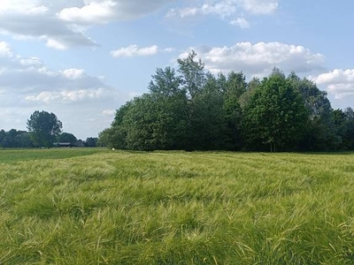 Działka budowlana na sprzedaż