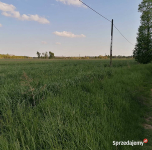 działka budowlana Zamoście gm. Strzelce Wlk. pow. Pajęczańsk