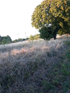 działka na sprzedaż Choszczno