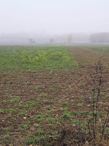 działka na sprzedaż Grabowo