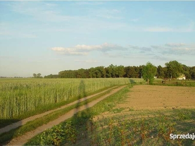 Działka na sprzedaż Oleśnica - Smolna (dolnośląskie)