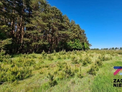 Działka pod farmę fotowoltaiczną lub inne inwestycje!