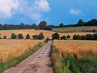 Działka rolna Żarnowiec