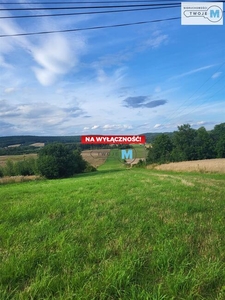 Działka rolna Raków gm. Raków Ociesęki