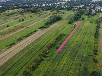 Działka rolna w Krośnie, Białobrzegi