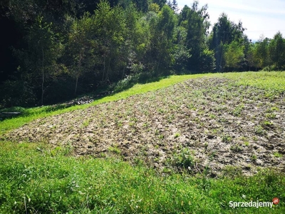 Działka rolno-budowlana 24 ar