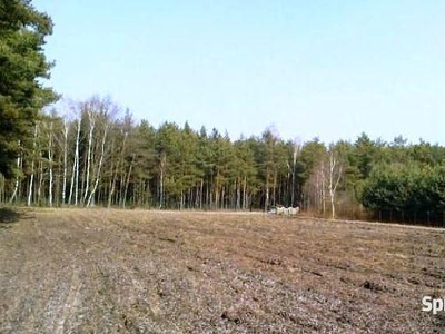 Działka w Saczynie gmina Godziesze Wielkie 6 300 m²