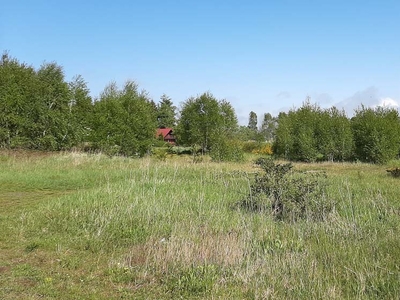 działka z planem zagospodarowania