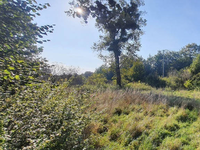 Kamienica - atrakcyjna działka blisko Malborka.