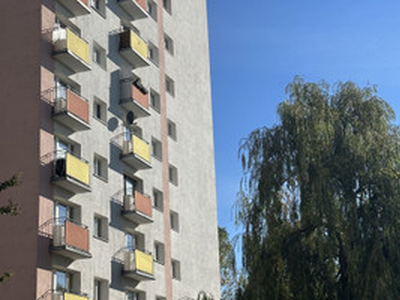 Mieszkanie na sprzedaż, 55 m², Poznań Grunwald