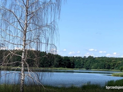 Nogat, działka nad jeziorem Kuchnia, las