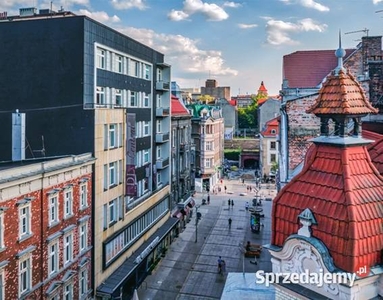 Powierzchnia biurowa w centrum Katowic do wynajęcia.