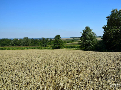 Sprzedam działkę budowlaną - gm. Niepołomice