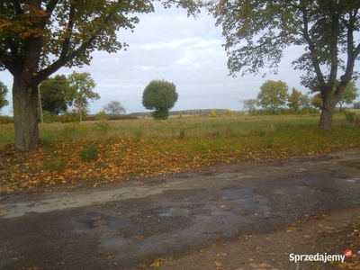 Sprzedam działki Mostkowo gmina Barlinek