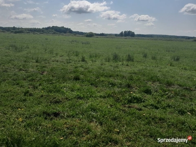 Sprzedam dzialke lake kolo Sokolki