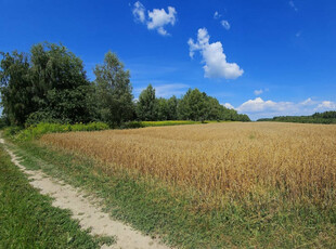 Karczmiska Drugie - ponad 33ar działki rolnej